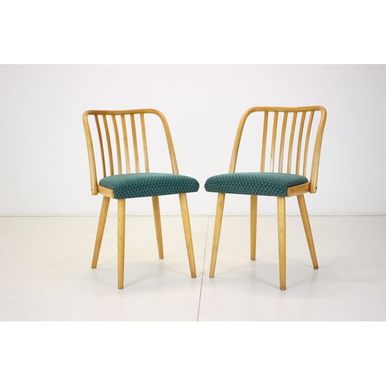 Image 1 of Ensemble de 6 chaises de salle à manger vintage par Antonin Suman, Tchécoslovaquie années 1960