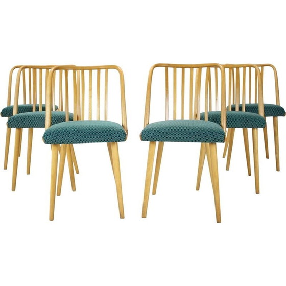 Image 1 of Ensemble de 6 chaises de salle à manger vintage par Antonin Suman, Tchécoslovaquie années 1960