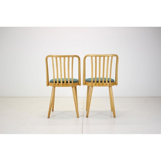 Image 1 of Ensemble de 6 chaises de salle à manger vintage par Antonin Suman, Tchécoslovaquie années 1960