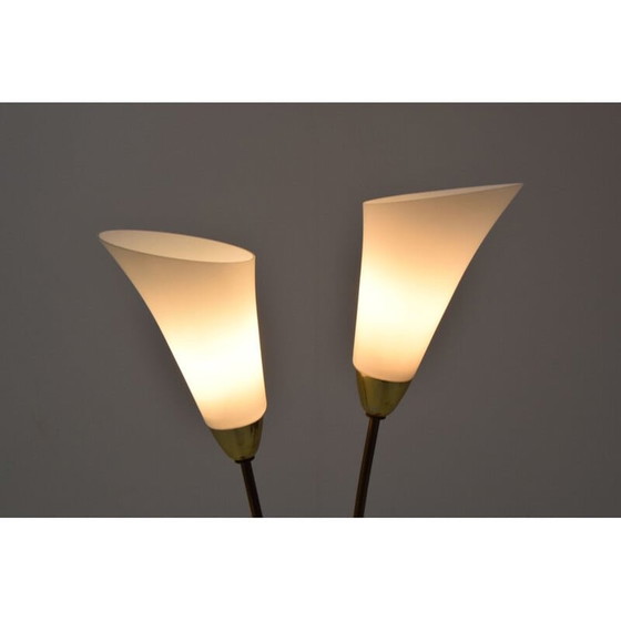 Image 1 of Lampadaire vintage art déco en laiton et verre opale, Tchécoslovaquie 1940