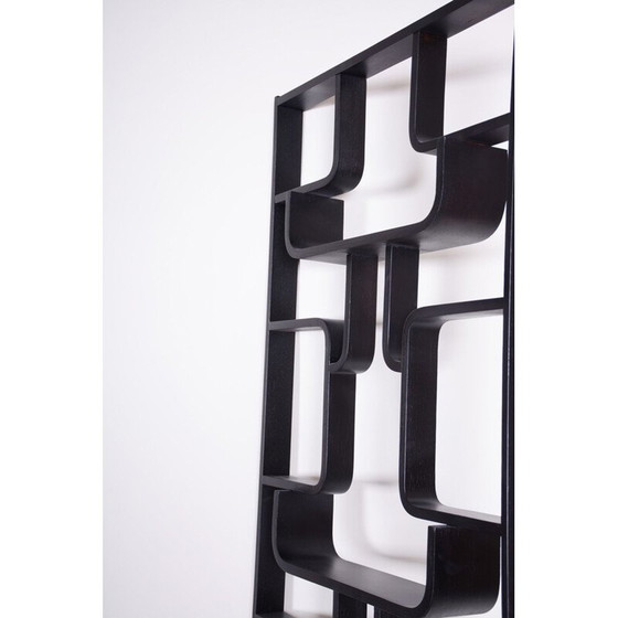 Image 1 of Séparateur de pièce du milieu du siècle par Ludvik Volak pour Drevopodnik Holesov, 1960s