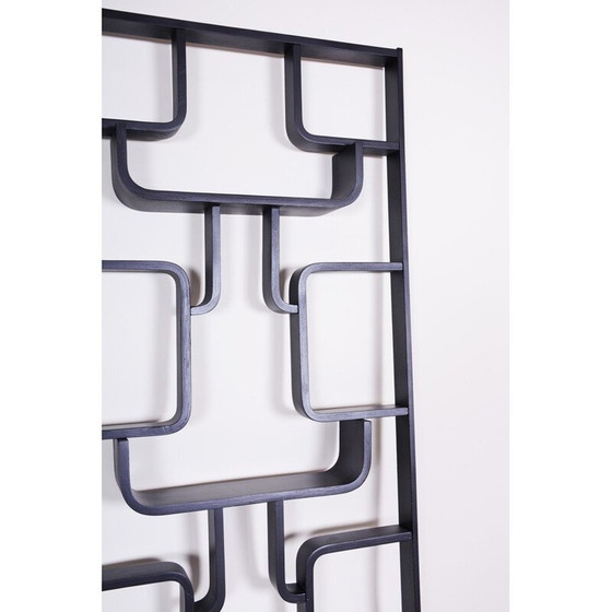 Image 1 of Séparateur de pièce du milieu du siècle par Ludvik Volak pour Drevopodnik Holesov, 1960s