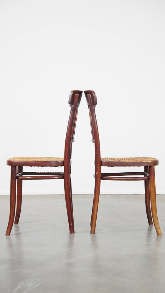 Image 1 of 2 X Chaise Vintage Thonet Design