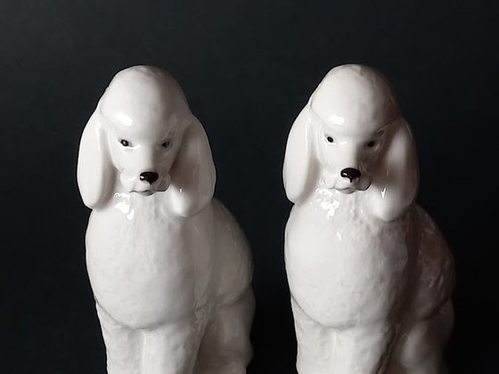 Image 1 of Figurines Lomonosov Chiens caniches