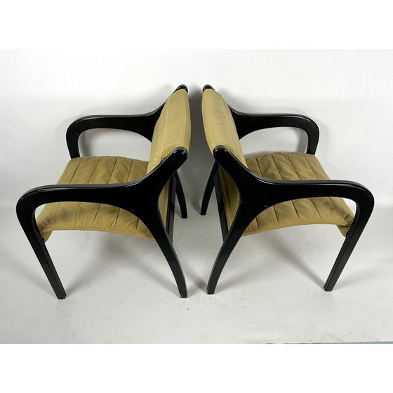 Image 1 of Paire de fauteuils Vivalda vintage par Claudio Salocchi pour Sormani, Italie 1960