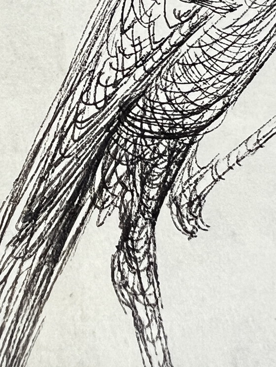 Image 1 of Roberto Fabelo, Cuba, dessin à l'encre original signé de 1998,