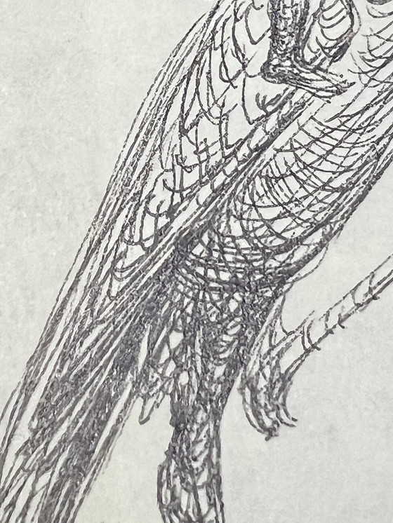 Image 1 of Roberto Fabelo, Cuba, dessin à l'encre original signé de 1998,