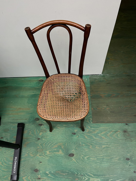 Image 1 of Chaises Thonet et Kohn