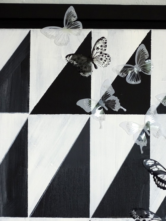 Image 1 of Cb. Papillons noirs et blancs