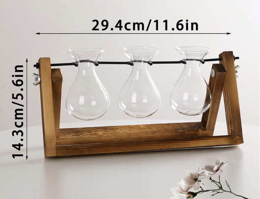 Vase En Verre Pour Plantes Hydroponiques