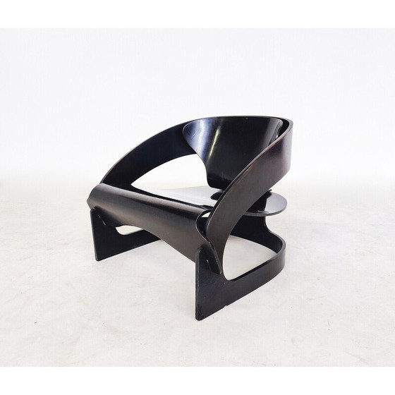 Image 1 of Fauteuil en bois du milieu du siècle modèle 4801 par Joe Colombo pour Kartell, années 1960.