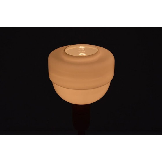 Image 1 of Lampadaire vintage en verre et bois par Uluv, Tchécoslovaquie 1950