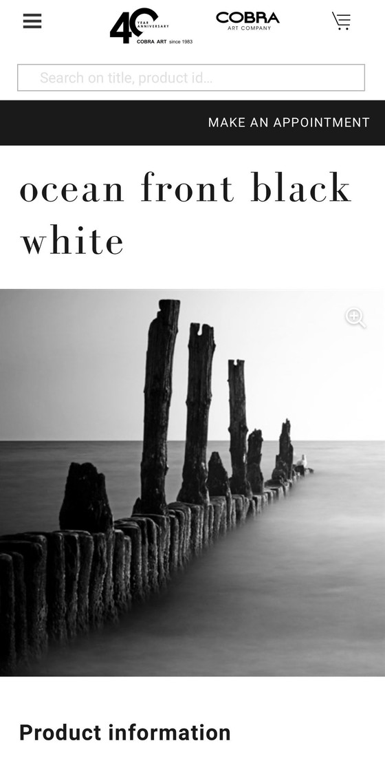 Image 1 of Cobra Art Artwork Ocean Front Black White