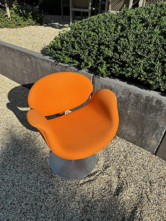 Image 1 of Artifort Little Tulip Swivel Chair Orange