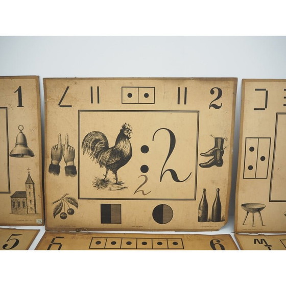 Image 1 of Ensemble de 9 affiches d'enseignement vintage de Litography A. Haase, Prague 1900s