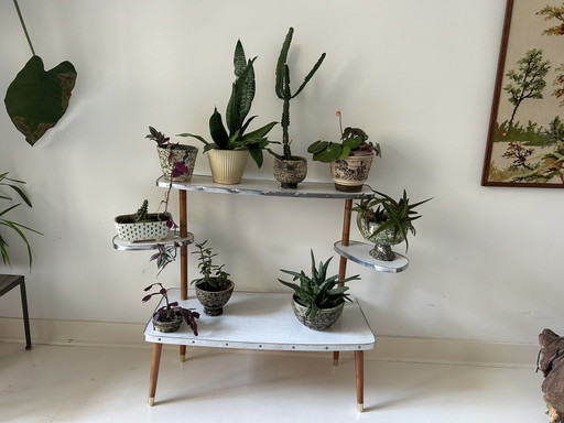 Table à plantes