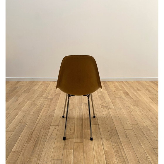Image 1 of Chaise Dsx vintage par Herman Miller pour Mobilier International, 1950-1960