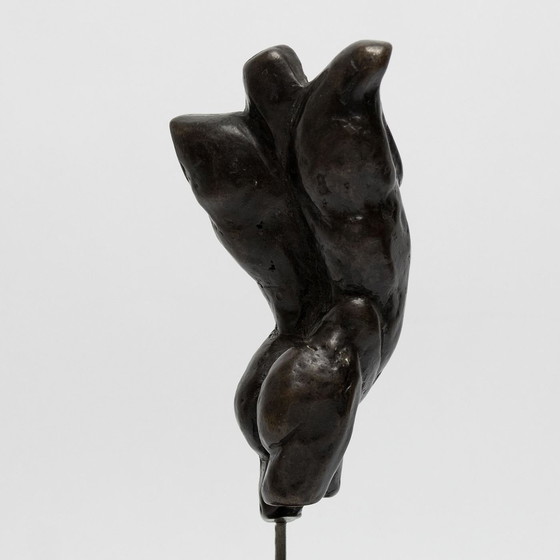 Image 1 of Fritz Van Eeden Ensemble de deux torses, garçon et fille en bronze