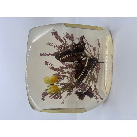 Image 1 of Bloc de résine vintage avec papillons naturalisés, 1970