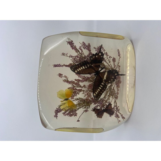 Image 1 of Bloc de résine vintage avec papillons naturalisés, 1970