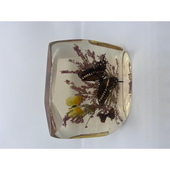 Image 1 of Bloc de résine vintage avec papillons naturalisés, 1970