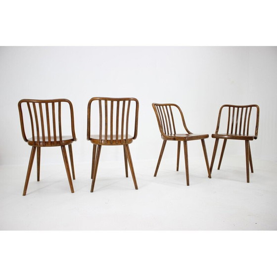 Image 1 of Ensemble de 4 chaises vintage Antonin Suman, Tchécoslovaquie 1960