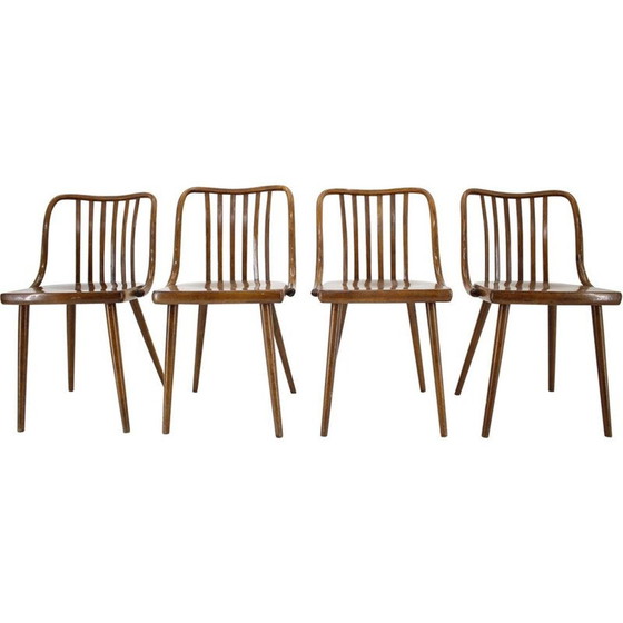 Image 1 of Ensemble de 4 chaises vintage Antonin Suman, Tchécoslovaquie 1960