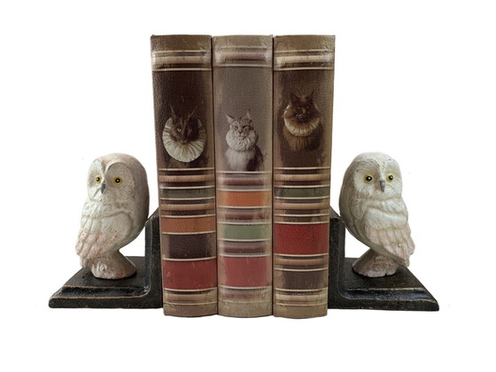 Image 1 of Ensemble de deux statues de hibou en fonte de style vintage