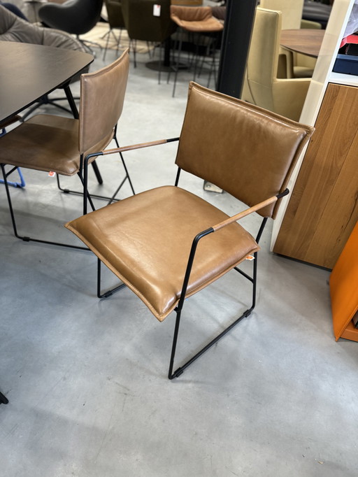 6 Chaises de salle à manger Jess Design Norman en cuir brun