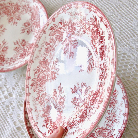 Image 1 of 6x Grandes Assiettes Sarreguemines Terre De Fer Rose