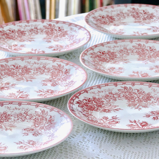 Image 1 of 6x Grandes Assiettes Sarreguemines Terre De Fer Rose