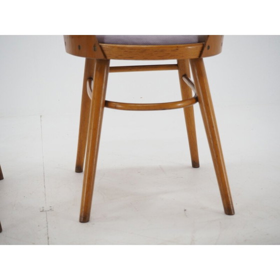 Image 1 of Paire de chaises de salle à manger vintage, Ton, Design by Oswald Haerdtl, 1950s