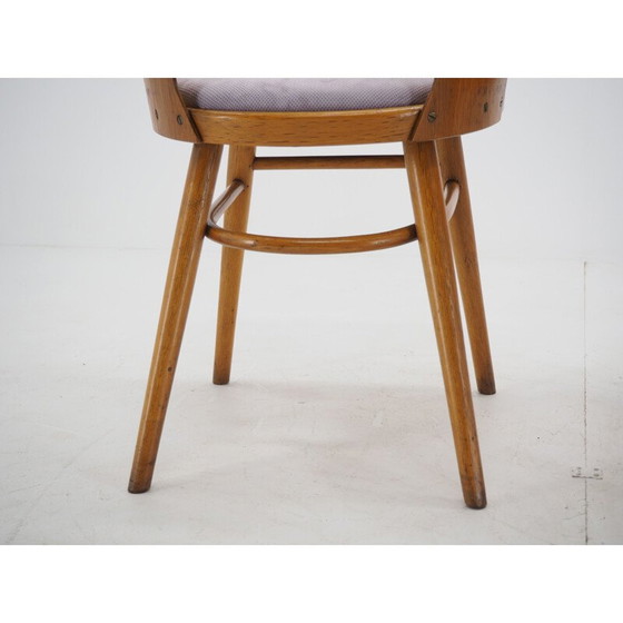 Image 1 of Paire de chaises de salle à manger vintage, Ton, Design by Oswald Haerdtl, 1950s