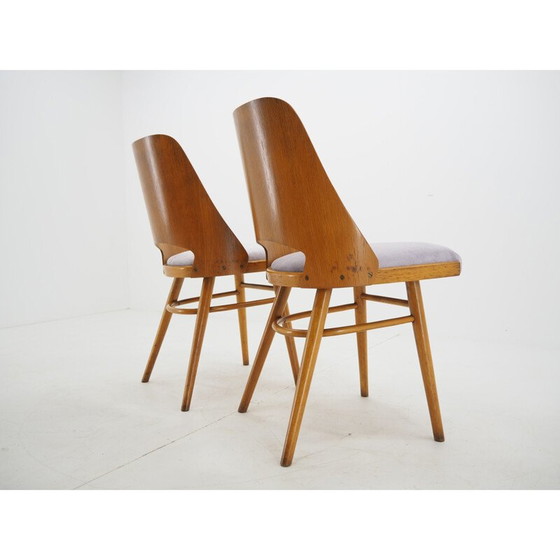 Image 1 of Paire de chaises de salle à manger vintage, Ton, Design by Oswald Haerdtl, 1950s