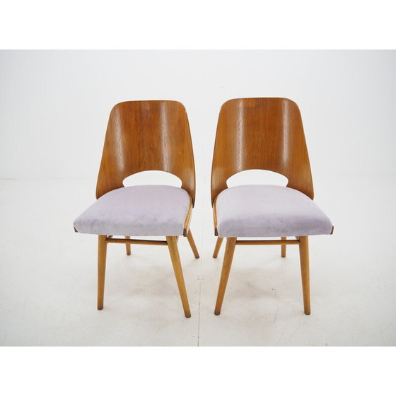 Image 1 of Paire de chaises de salle à manger vintage, Ton, Design by Oswald Haerdtl, 1950s