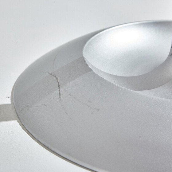 Image 1 of Vintage 1070 Porte-manteau Cactus en métal et plastique par Raul Barbieri pour Rexite, Italie 1980