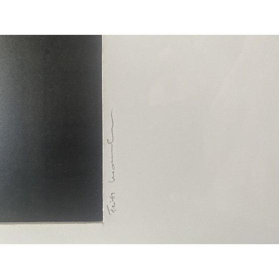 Image 1 of Tirage argentique vintage "Mère et enfant" de Fritz Monshouwer, 1986