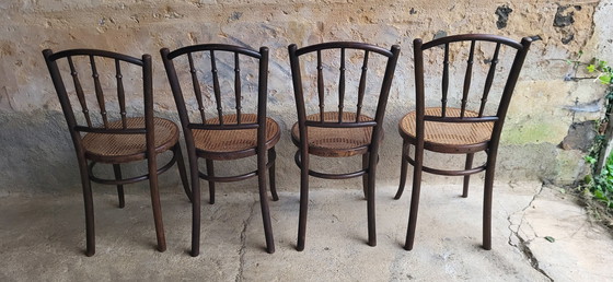 Image 1 of 4 Chaises Bistrot En Bois Courbé Fischel 1920/30