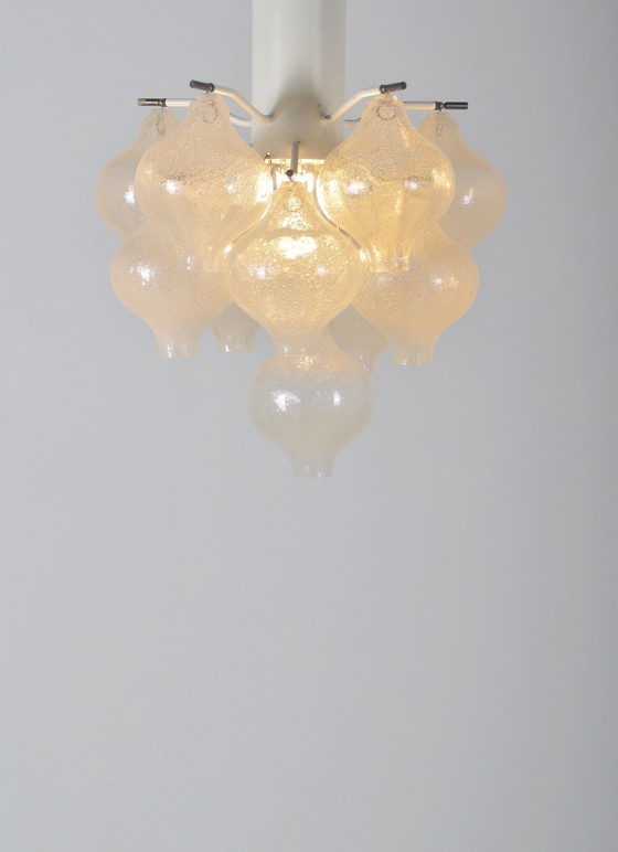 Image 1 of Lustre Modèle Tulipan de Kalmar Franks, 1960