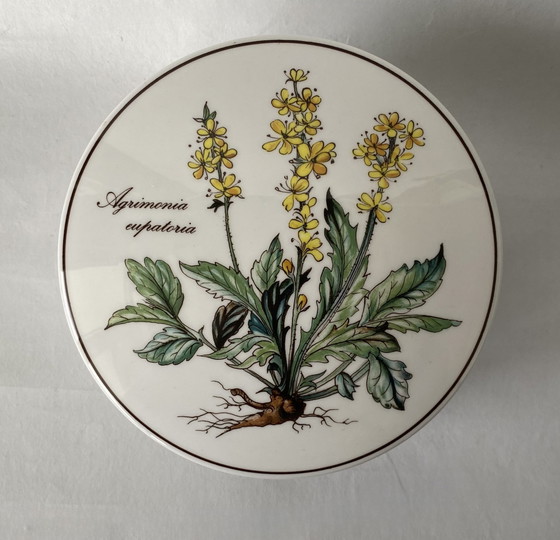 Image 1 of Villeroy & Boch Botanica Boîtes à couvercles