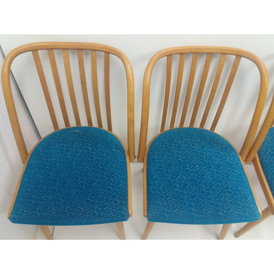 Image 1 of Ensemble de 4 chaises vintage en hêtre par Antonín Šuman pour Ton Bystřice pod Hostýnem, Tchécoslovaquie 1960