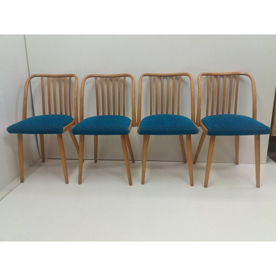 Image 1 of Ensemble de 4 chaises vintage en hêtre par Antonín Šuman pour Ton Bystřice pod Hostýnem, Tchécoslovaquie 1960