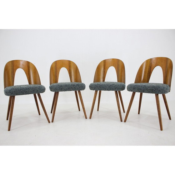 Image 1 of Ensemble de 4 chaises de salle à manger vintage en noyer par Antonin Suman, Tchécoslovaquie années 1960