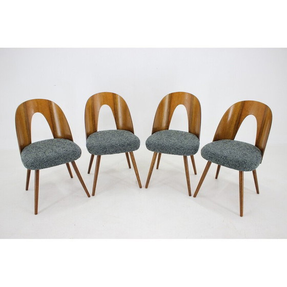 Image 1 of Ensemble de 4 chaises de salle à manger vintage en noyer par Antonin Suman, Tchécoslovaquie années 1960
