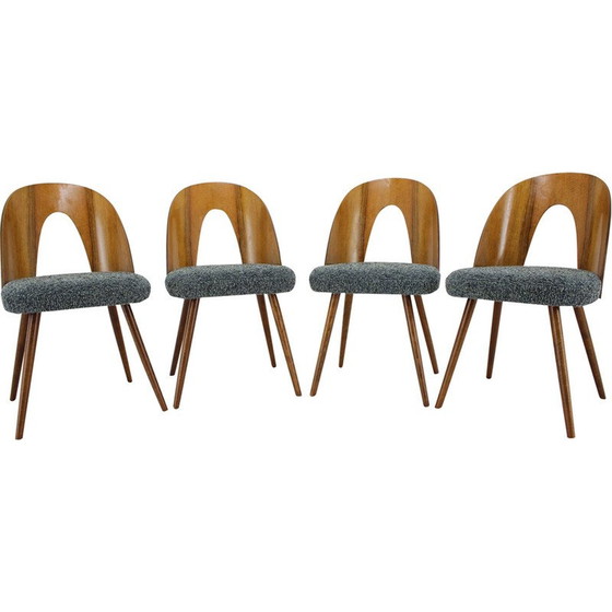 Image 1 of Ensemble de 4 chaises de salle à manger vintage en noyer par Antonin Suman, Tchécoslovaquie années 1960
