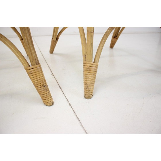 Image 1 of Paire de fauteuils en rotin vintage d'Alan Fuchs, Tchécoslovaquie, années 1960