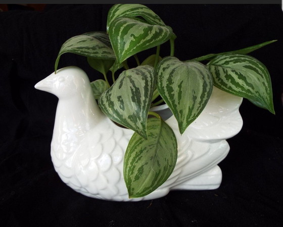 Image 1 of Colombe Vintage En Porcelaine