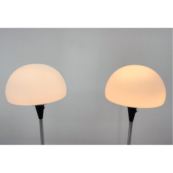 Image 1 of Paire de lampadaires vintage par Jaroslav Bejvl pour Lidokov, années 1960