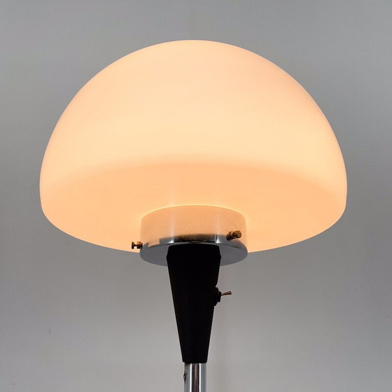 Image 1 of Paire de lampadaires vintage par Jaroslav Bejvl pour Lidokov, années 1960