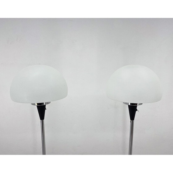 Image 1 of Paire de lampadaires vintage par Jaroslav Bejvl pour Lidokov, années 1960